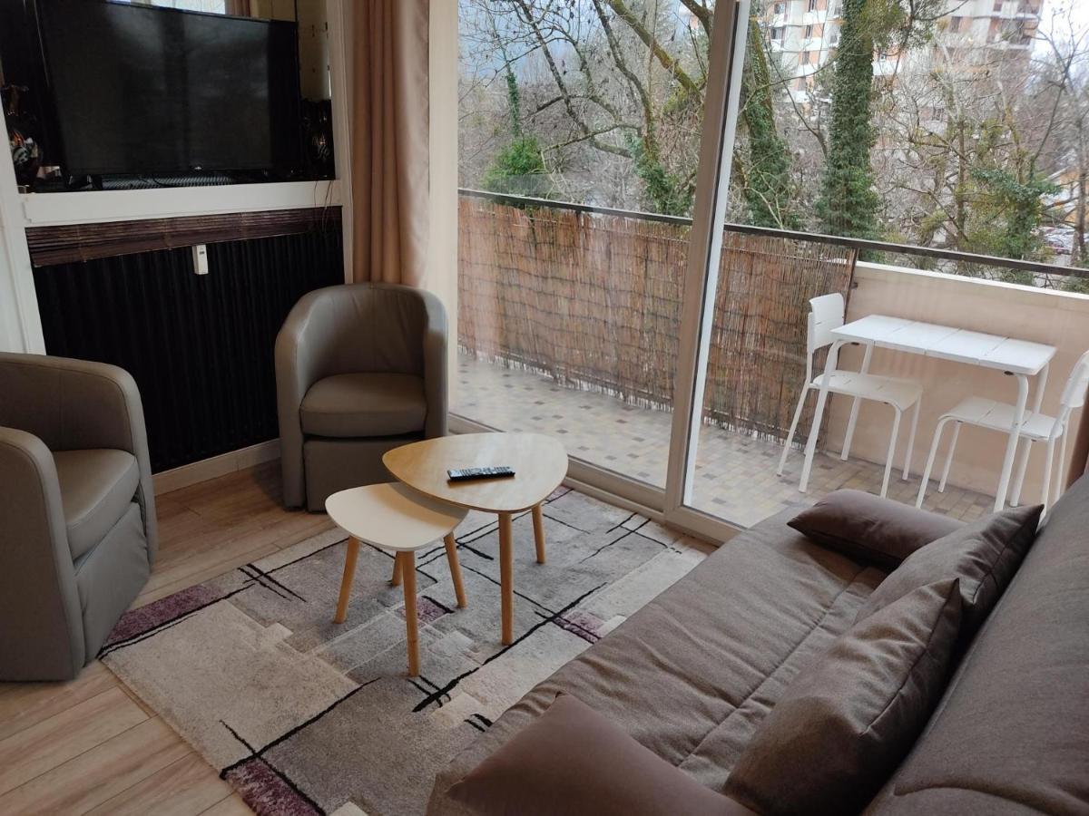 Charmant Appartement Au Bord Du Thiou - Анси Экстерьер фото