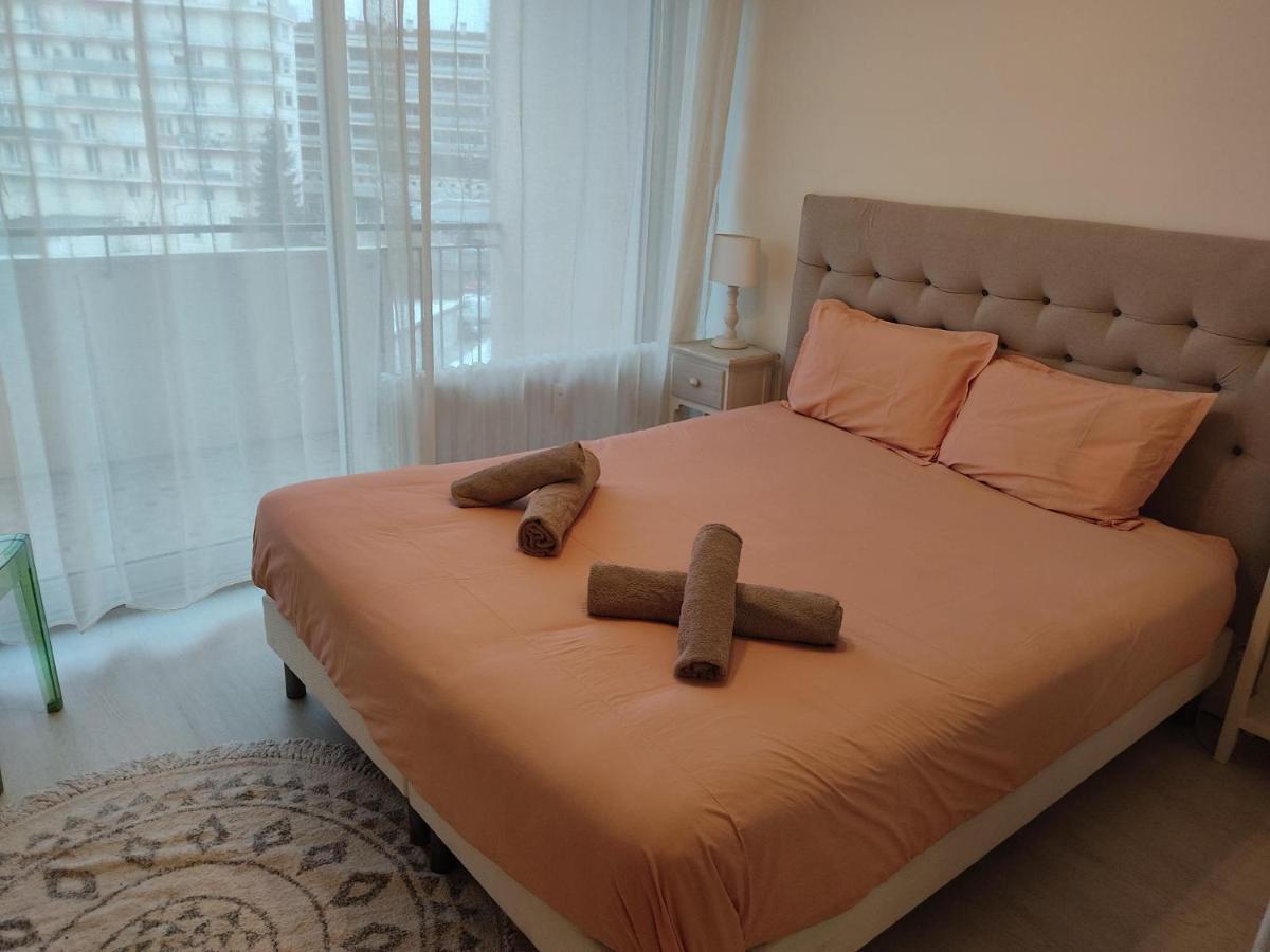 Charmant Appartement Au Bord Du Thiou - Анси Экстерьер фото