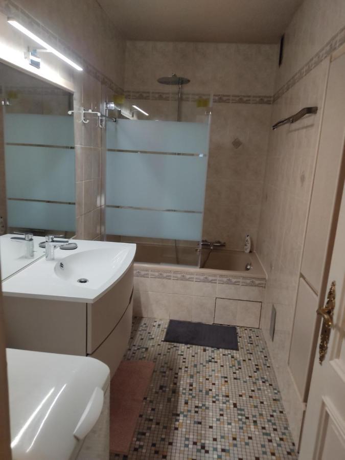 Charmant Appartement Au Bord Du Thiou - Анси Экстерьер фото